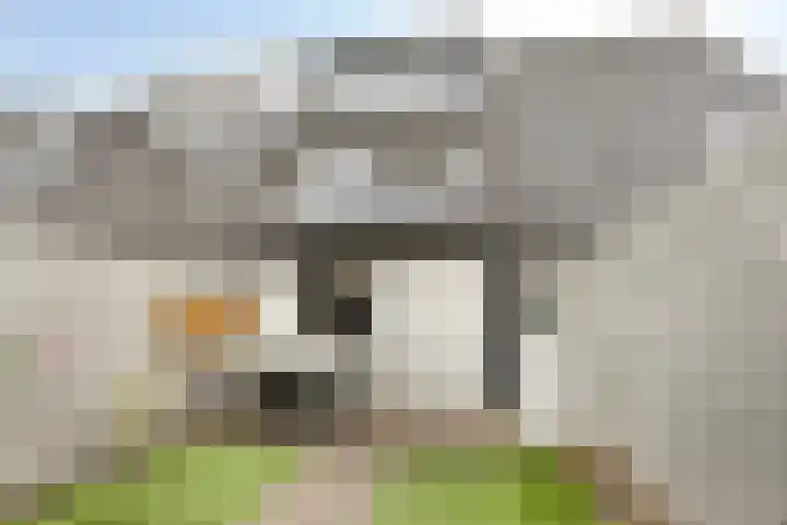 Goudenregenstraat 42 Ederveen thumbnail 25