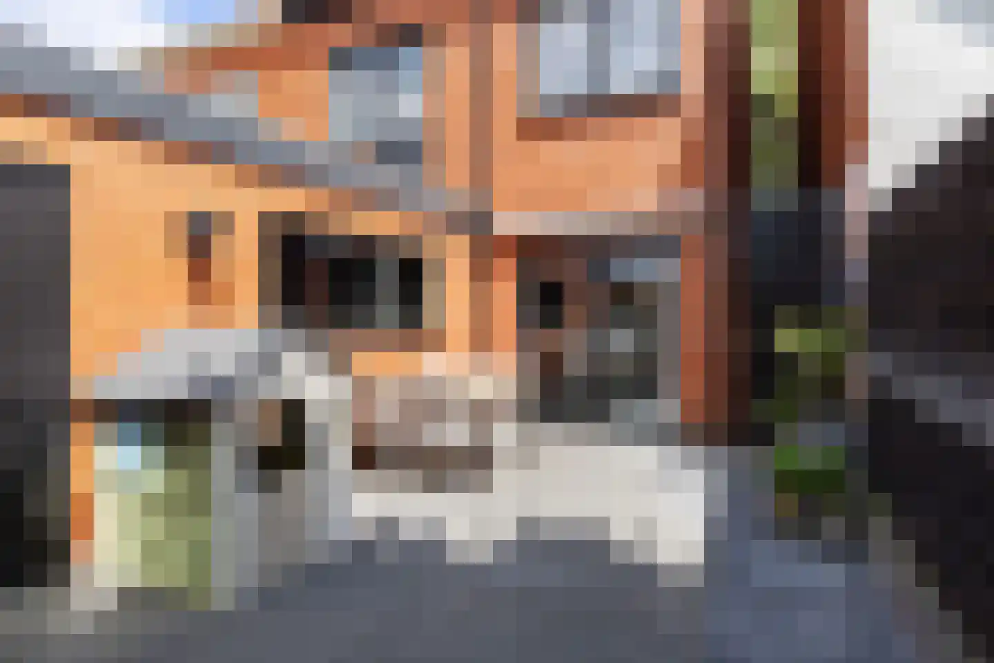 Goudenregenstraat 47 Leeuwarden thumbnail 27