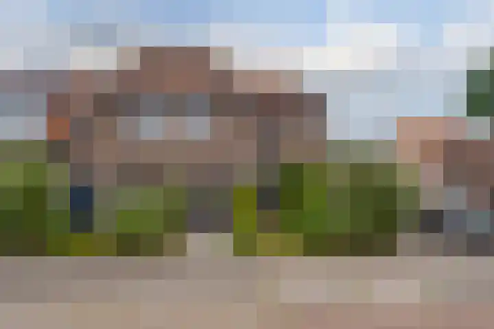Goudenregenstraat 49 Zwolle thumbnail 7