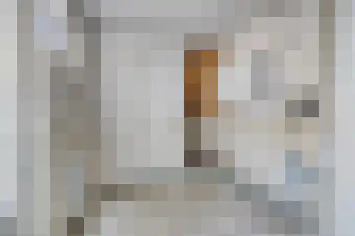 Goudenregenstraat 5 Nieuwkuijk thumbnail 11
