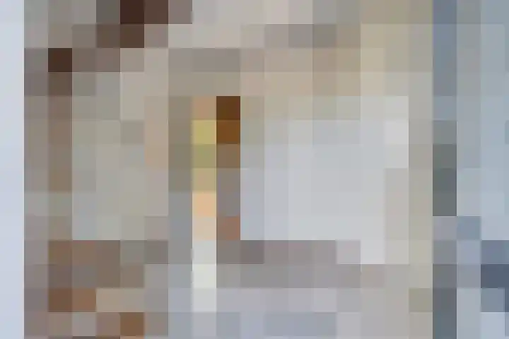 Goudenregenstraat 5 Nieuwkuijk thumbnail 14