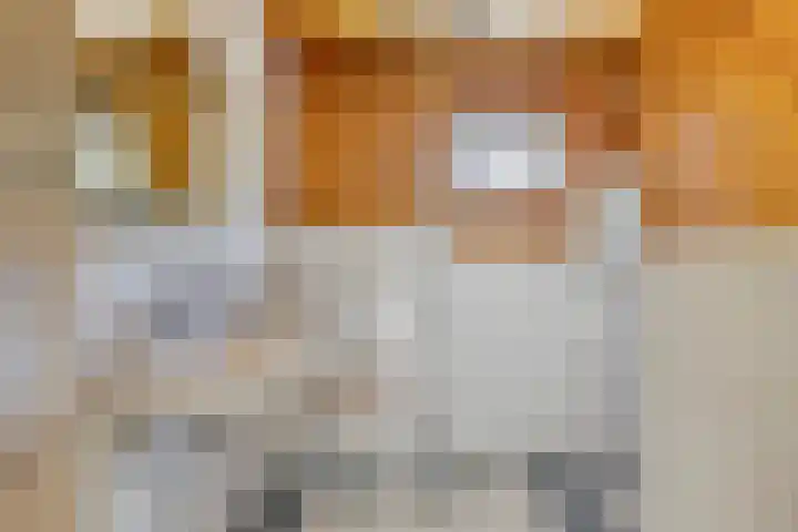 Goudenregenstraat 5 Nieuwkuijk thumbnail 19