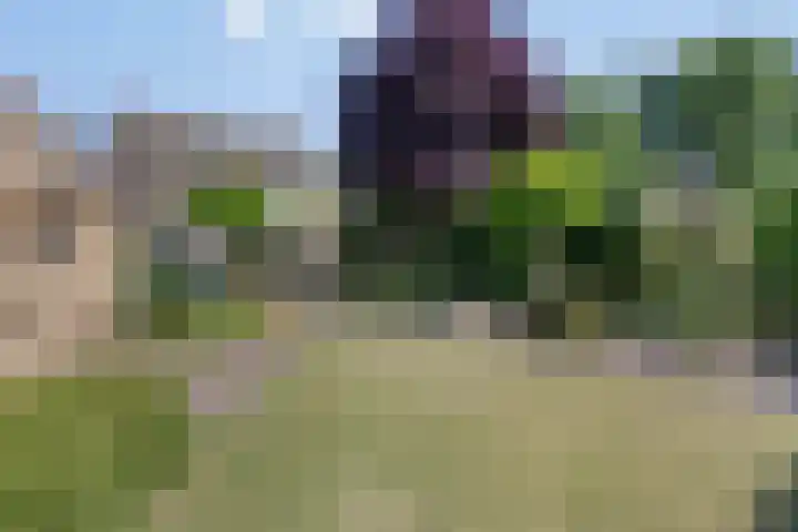 Goudenregenstraat 5 Nieuwkuijk foto 2