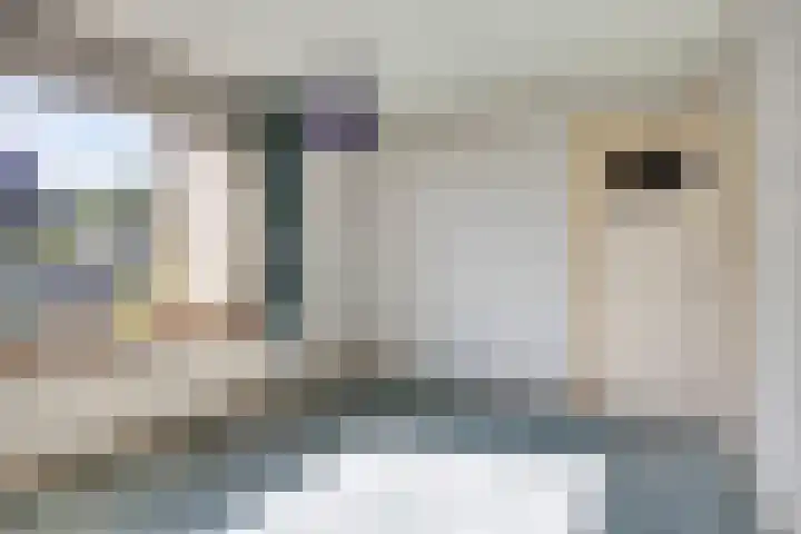 Goudenregenstraat 5 Nieuwkuijk thumbnail 22