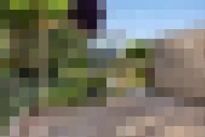 Goudenregenstraat 5 Nieuwkuijk thumbnail 34