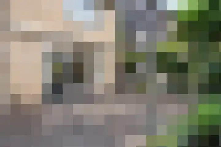 Goudenregenstraat 5 Nieuwkuijk thumbnail 37
