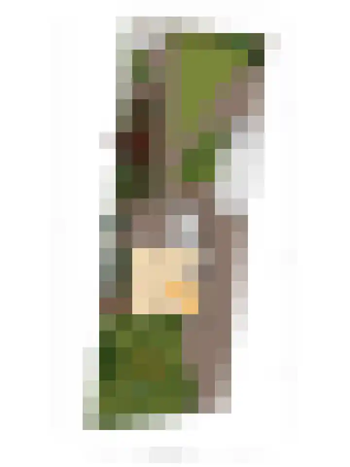Goudenregenstraat 5 Nieuwkuijk thumbnail 42