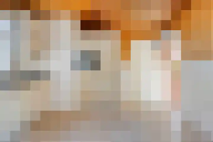 Goudenregenstraat 5 Nieuwkuijk thumbnail 8
