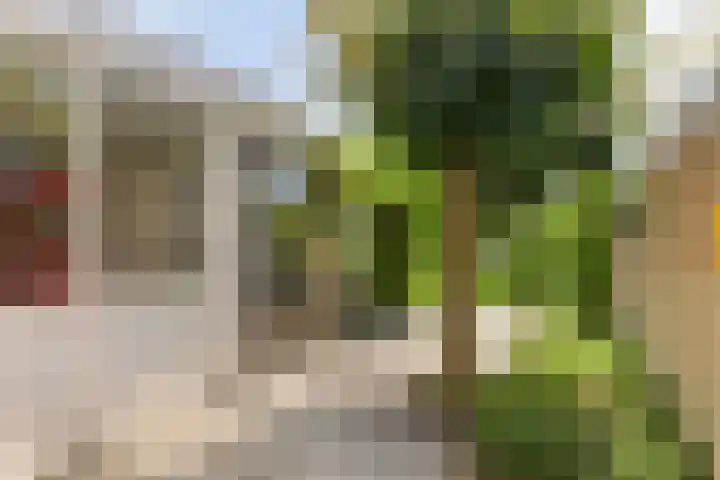 Goudenregenstraat 55 Borne thumbnail 28