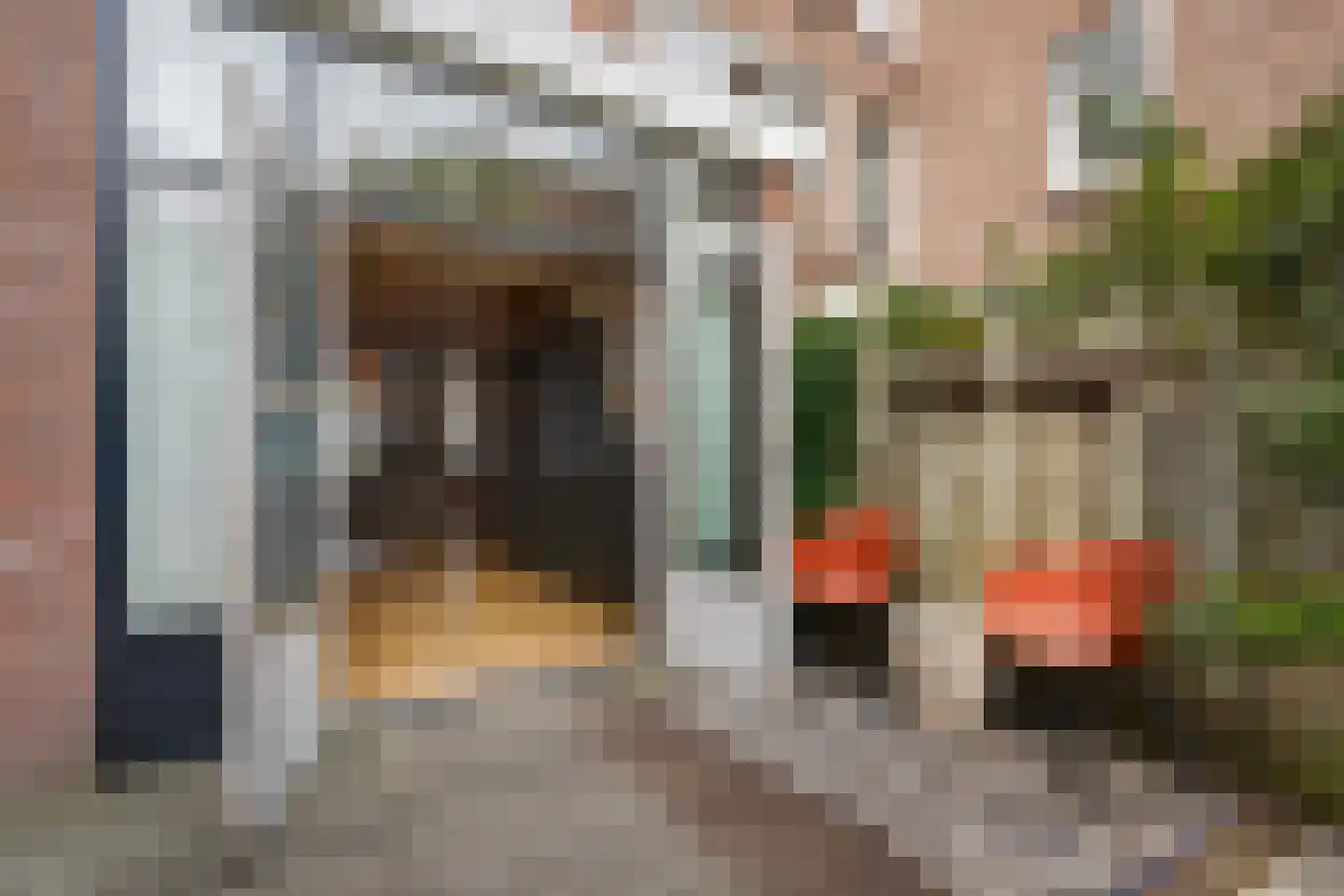 Goudenregenstraat 59 Den Haag thumbnail 18