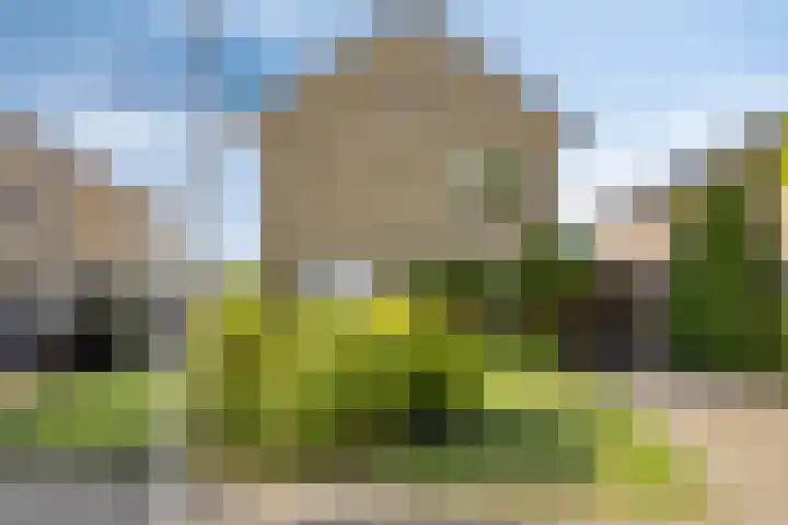 Goudenregenstraat 59 Gramsbergen thumbnail 32