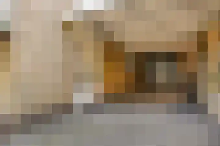 Goudenregenstraat 59 Gramsbergen thumbnail 33