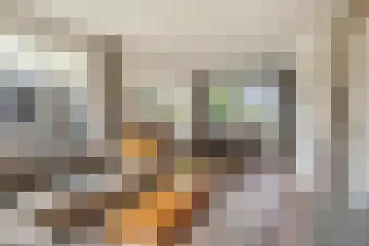 Goudenregenstraat 59 Gramsbergen thumbnail 4