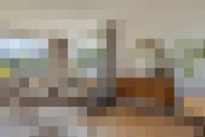 Goudenregenstraat 59 Gramsbergen thumbnail 6