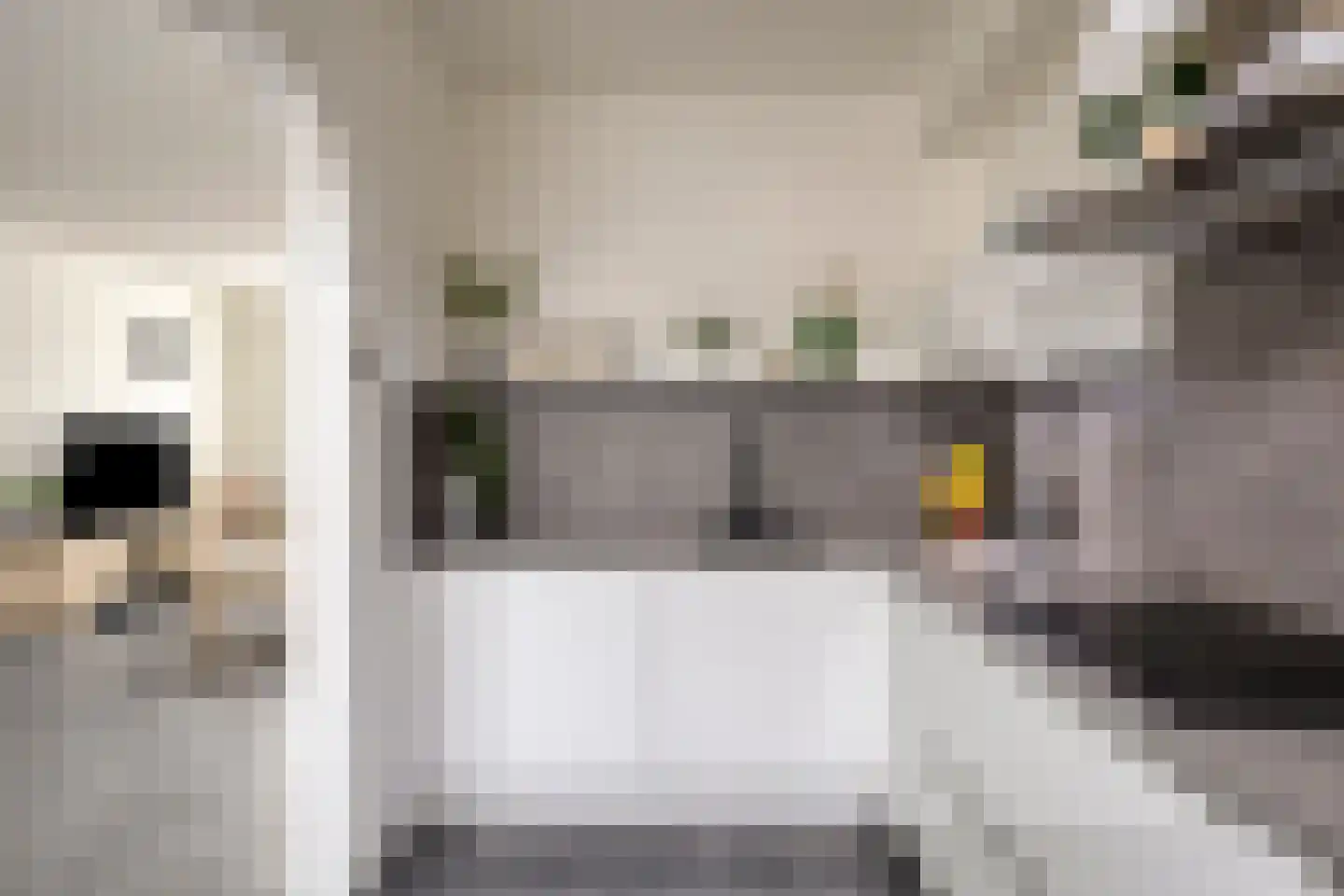 Goudenregenstraat 6 Winterswijk thumbnail 7