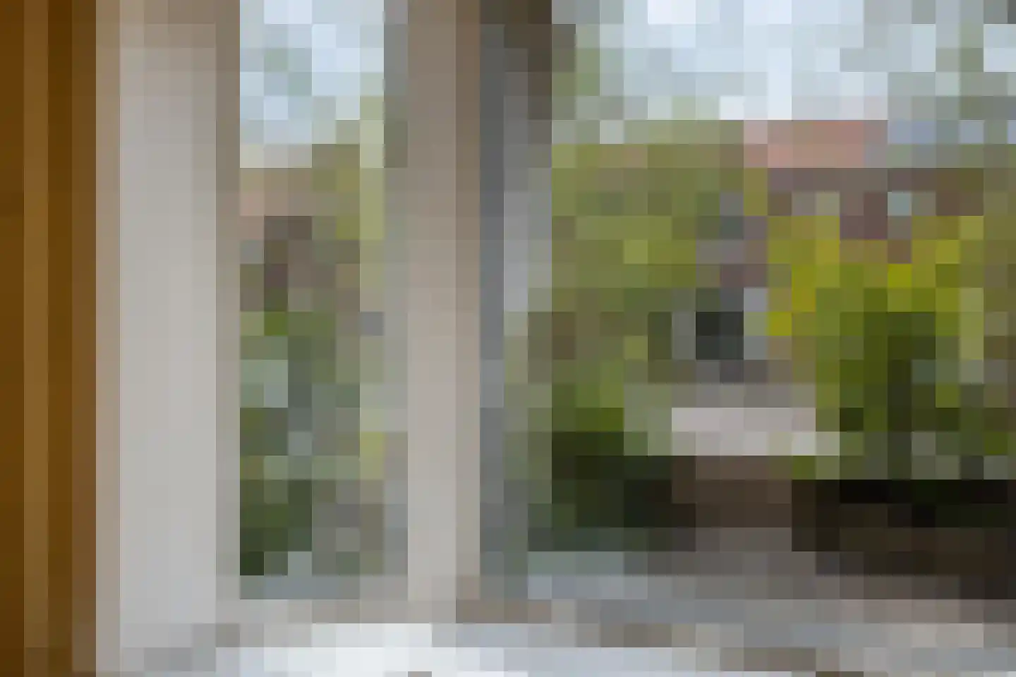 Goudenregenstraat 60 Leeuwarden thumbnail 7