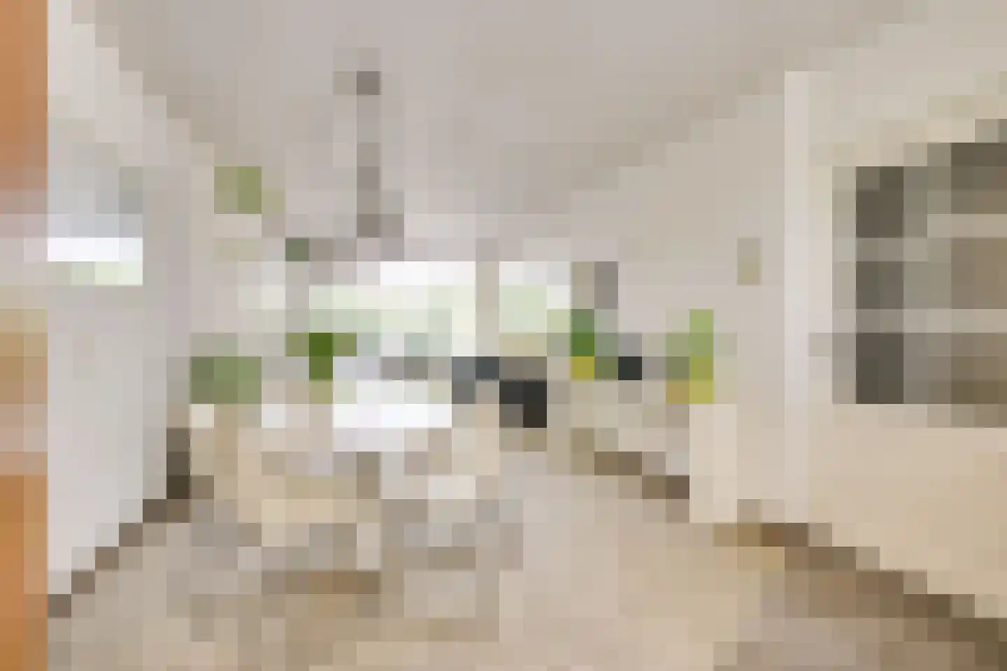 Goudenregenstraat 60 Vianen thumbnail 10