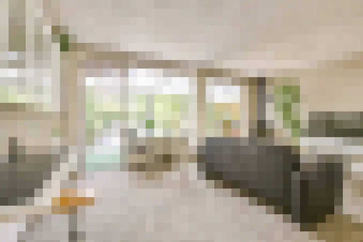 Goudenregenstraat 60 Vianen thumbnail 11