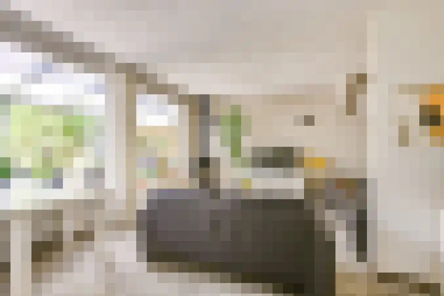 Goudenregenstraat 60 Vianen thumbnail 12