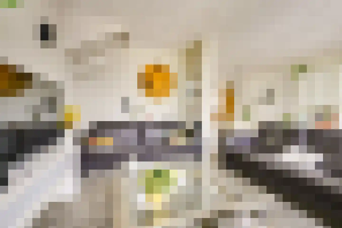 Goudenregenstraat 60 Vianen thumbnail 15