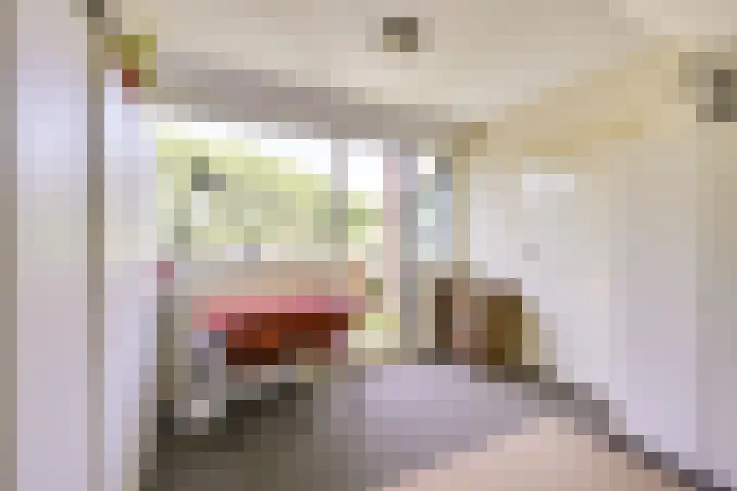 Goudenregenstraat 60 Vianen thumbnail 46