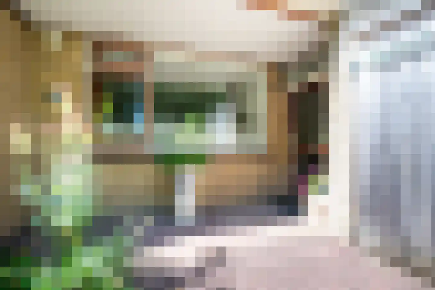 Goudenregenstraat 60 Vianen thumbnail 61