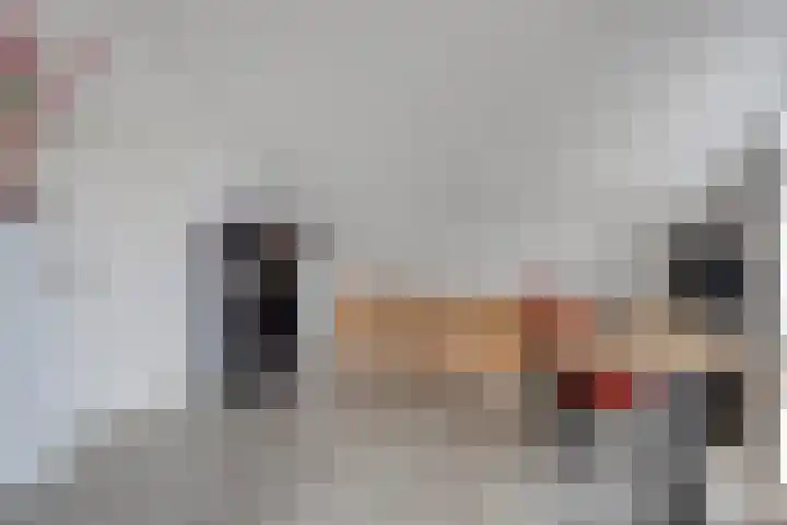 Goudenregenstraat 61 Borne thumbnail 30