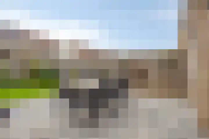 Goudenregenstraat 61 Borne thumbnail 31
