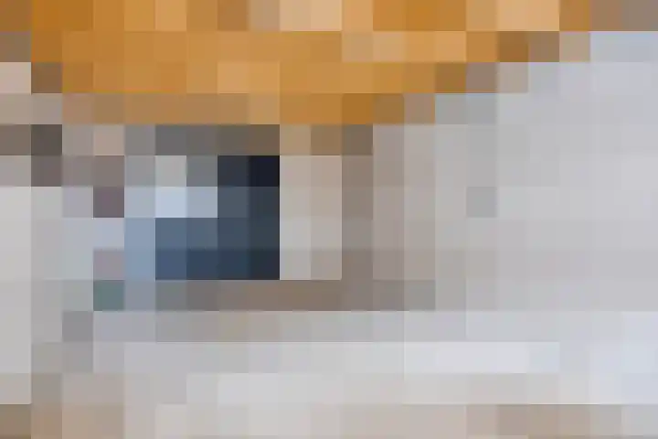 Goudenregenstraat 61 Borne thumbnail 33