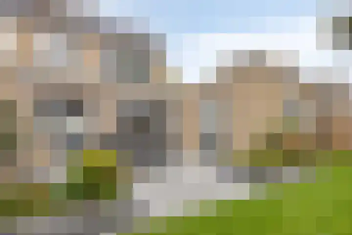 Goudenregenstraat 61 Borne thumbnail 4