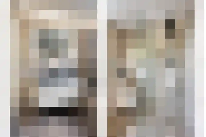 Goudenregenstraat 7 Doesburg thumbnail 32