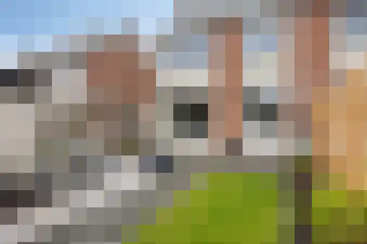 Goudenregenstraat 7 Doesburg thumbnail 39