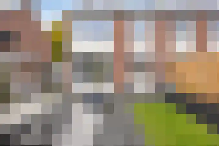 Goudenregenstraat 7 Doesburg thumbnail 47