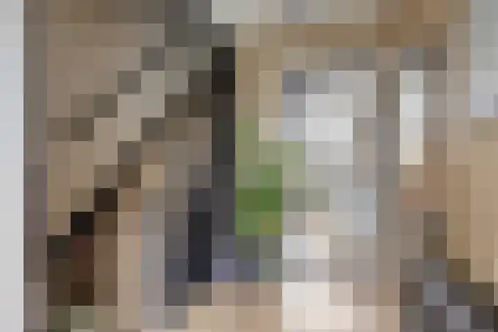Goudenregenstraat 7 Doesburg thumbnail 8