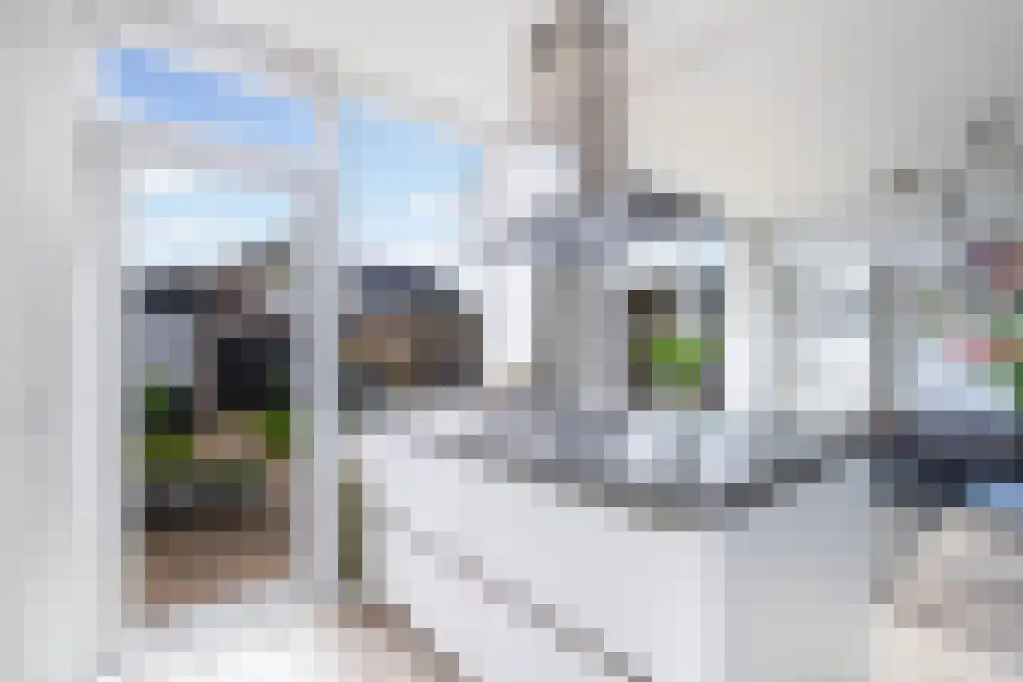 Goudenregenstraat 7 Monster thumbnail 24