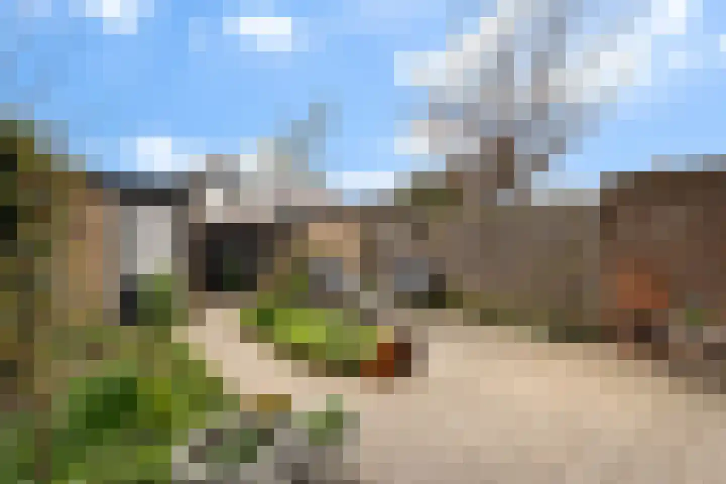 Goudenregenstraat 7 Monster thumbnail 29