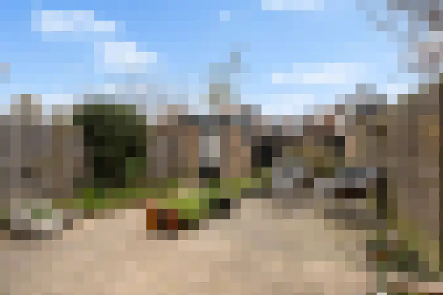 Goudenregenstraat 7 Monster thumbnail 30