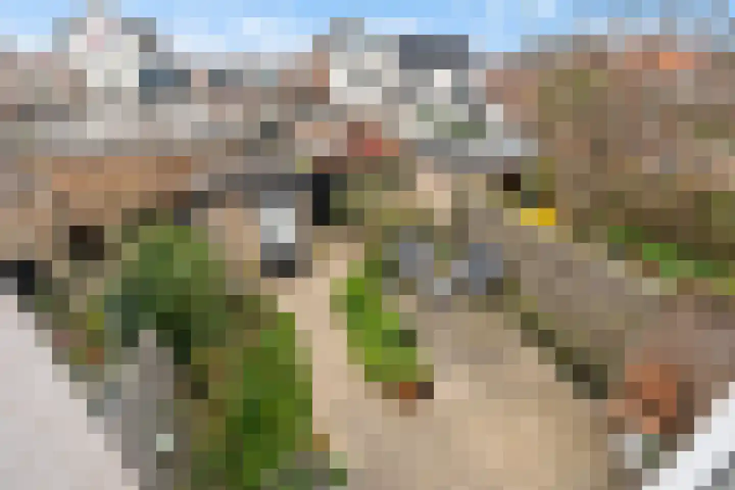 Goudenregenstraat 7 Monster thumbnail 33