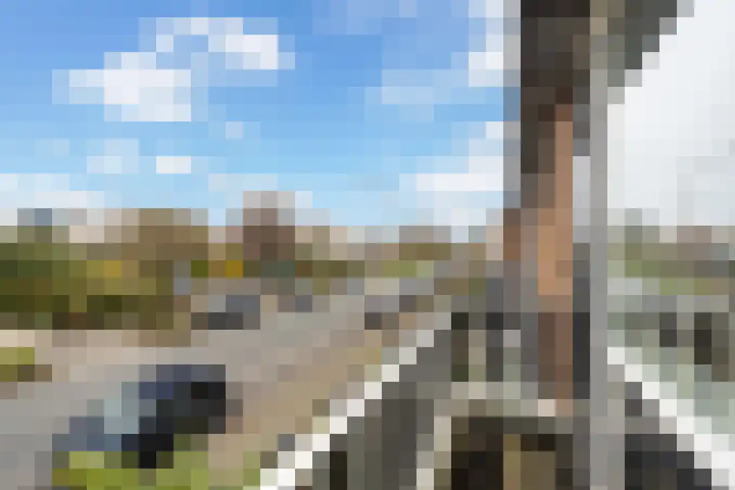 Goudenregenstraat 7 Monster thumbnail 38