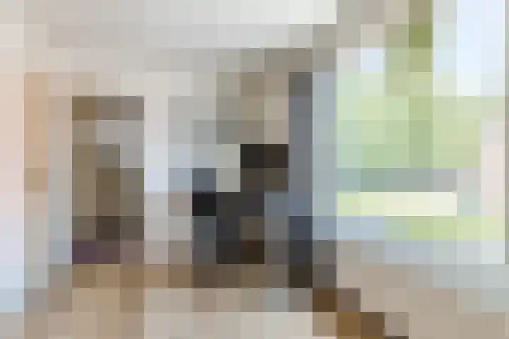 Goudenregenstraat 7 Woerden thumbnail 17
