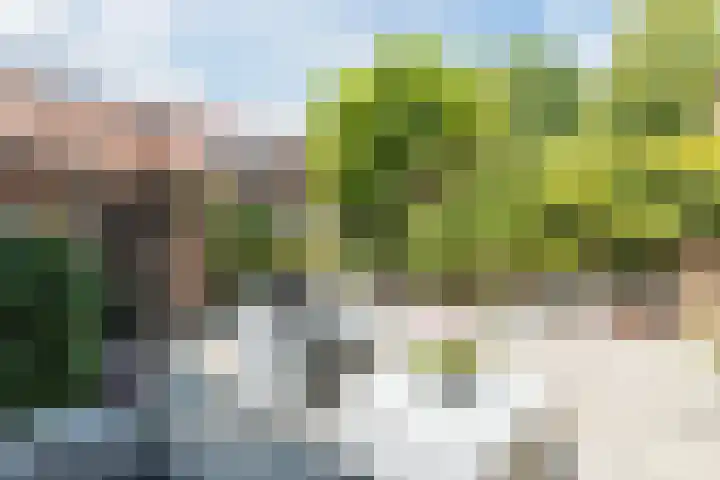 Goudenregenstraat 7 Woerden thumbnail 26