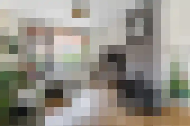 Goudenregenstraat 7 Woerden thumbnail 9