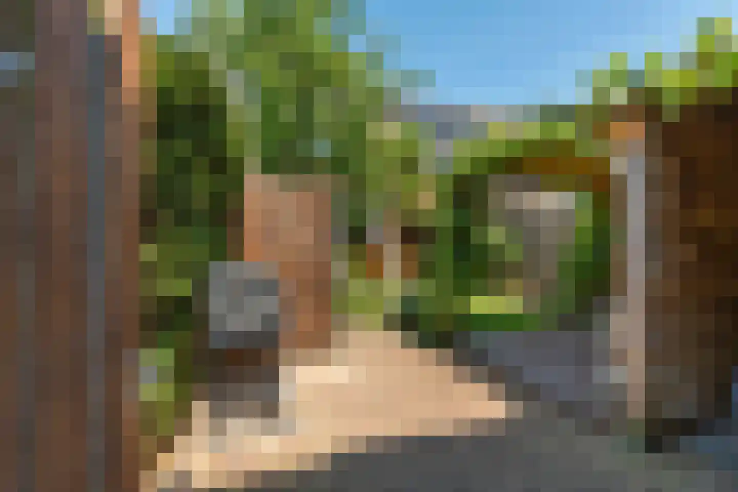 Goudenregenstraat 70 Lent thumbnail 8