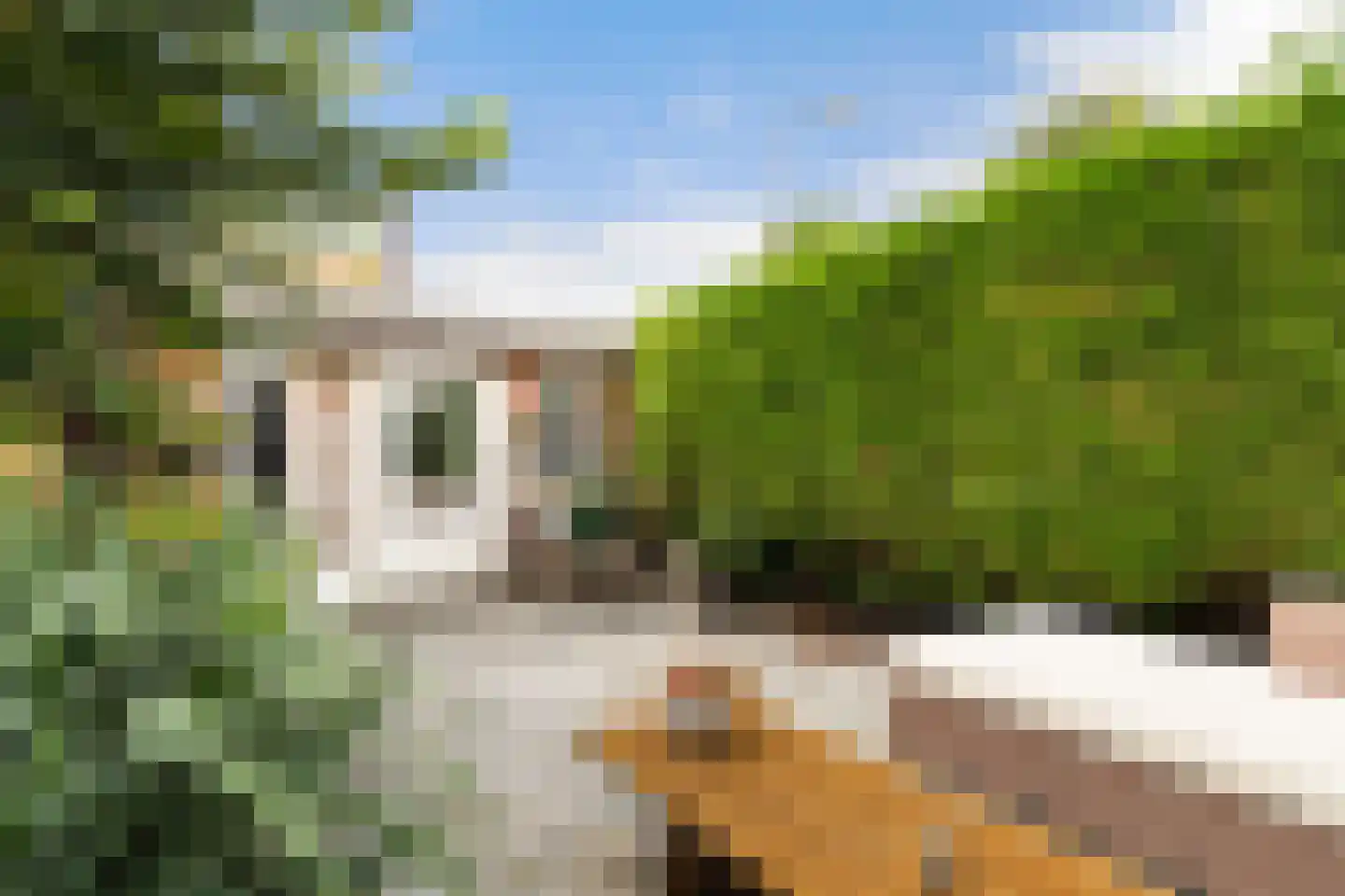 Goudenregenstraat 75 Monster thumbnail 14