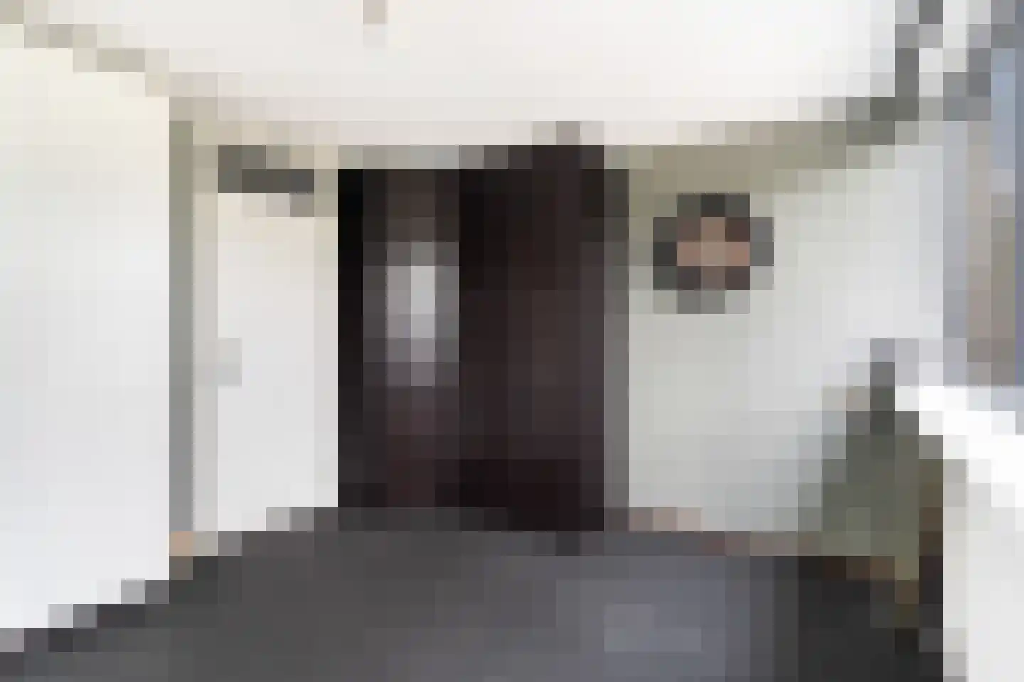 Goudenregenstraat 75 Monster thumbnail 29