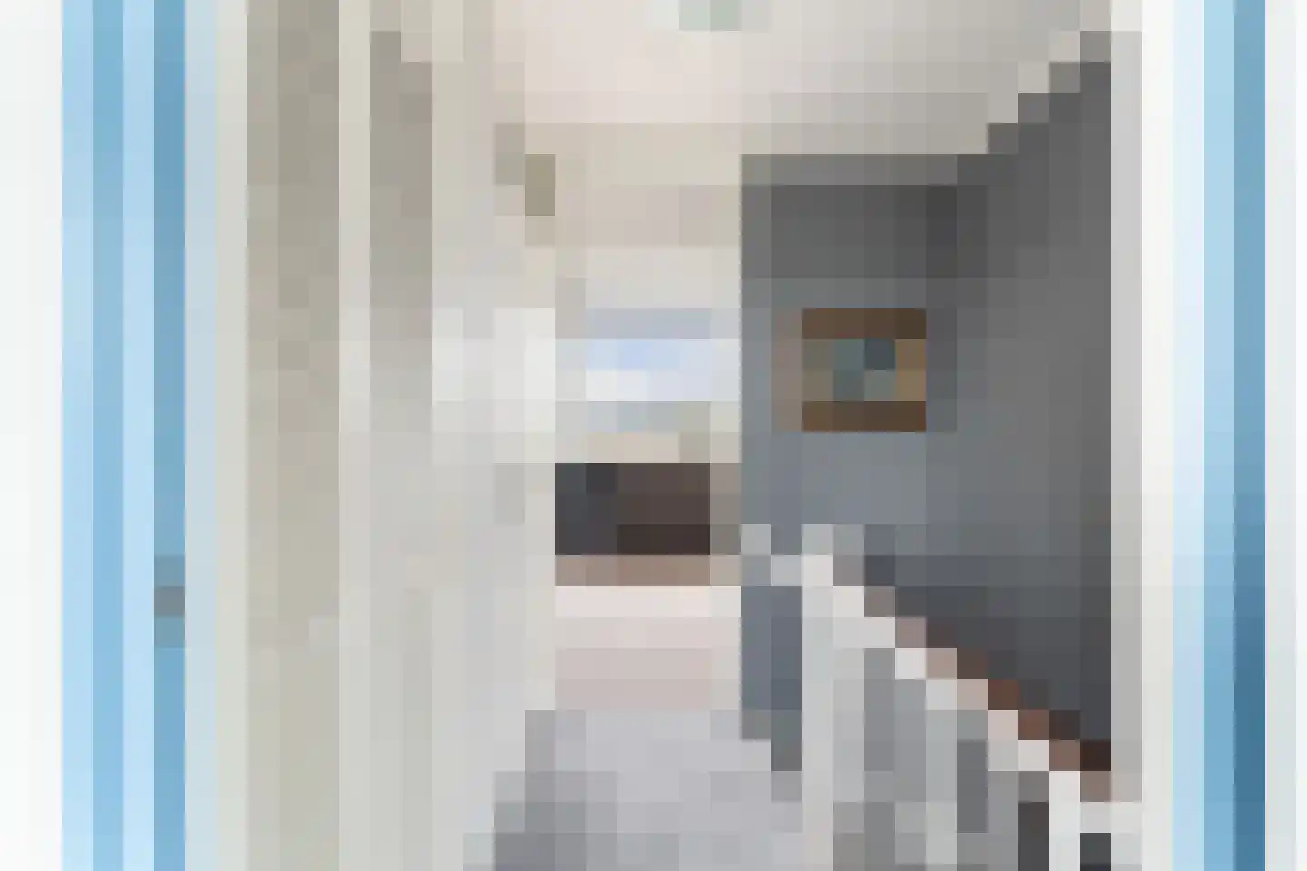 Goudenregenstraat 75 Monster thumbnail 41