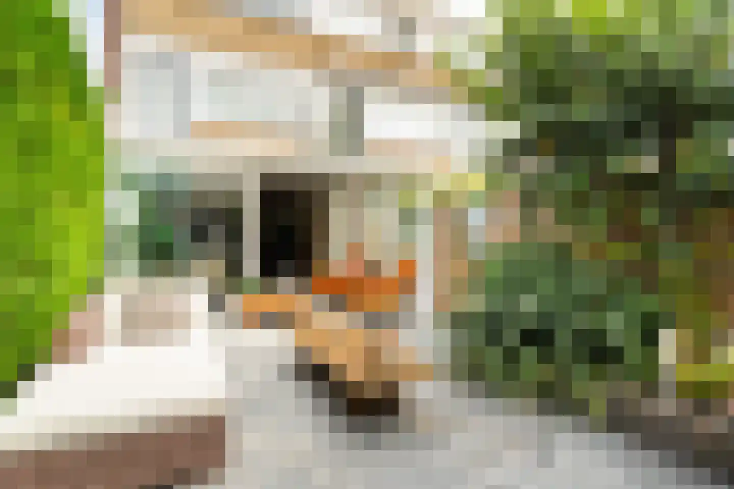 Goudenregenstraat 75 Monster thumbnail 6