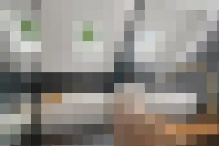 Goudenregenstraat 76 Lent thumbnail 25