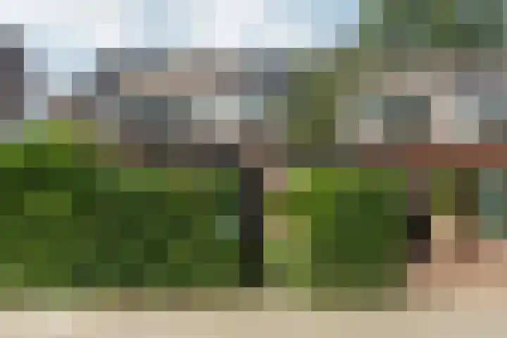 Goudenregenstraat 76 Lent thumbnail 7