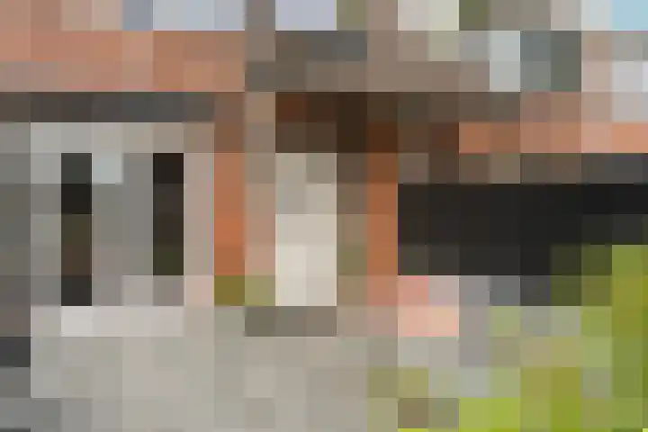 Goudenregenstraat 76 Lent thumbnail 9